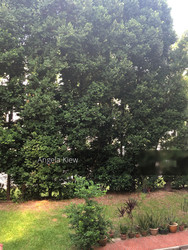 hougang-avenue-2 photo thumbnail #3